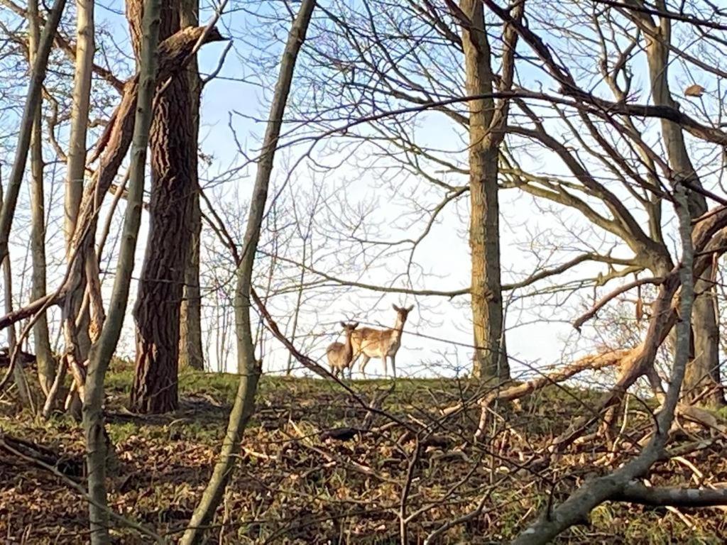 Overnachten In Zeeland Burgh-Haamstede Exterior foto